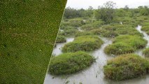 Le mystère d'étranges monticules observés en Colombie enfin élucidé