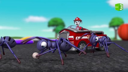 مارشال يتعرض لأشعة التقليص والنتيجة..