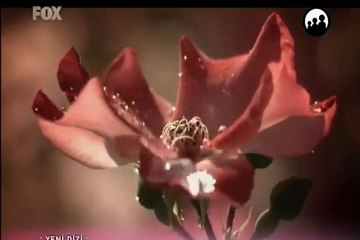 Aşkın Halleri Dublajlı Fragman