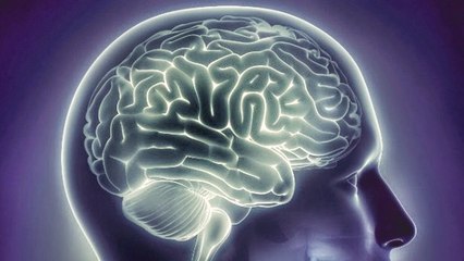 Comment l'étrange cas d'une femme amnésique nous aide à percer les secrets de la mémoire