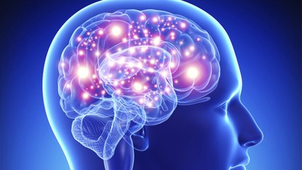 Ce scientifique pense avoir découvert un "sixième sens" chez l’humain