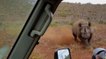 Quand un rhinocéros charge la voiture de deux hommes en Afrique du Sud