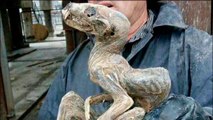 Une étrange créature momifiée découverte dans une mine de diamants en Sibérie