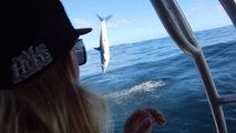 De jeunes Australiens filment la spectaculaire pirouette d’un requin en pleine mer