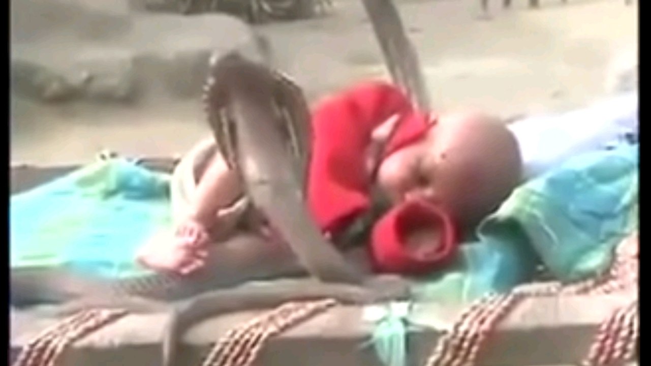 Dieses Baby wird von vier tödlichen Schlangen bewacht