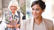 The key role Camilla could take on from Meghan Markle after Megxit