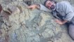 L'empreinte géante d'un dinosaure de plus de 10 mètres découverte en Bolivie
