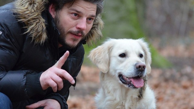 Les chiens comprennent le langage humain