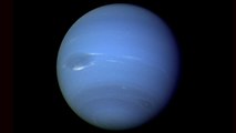 Niku, ce mystérieux objet découvert au-delà de la planète Neptune