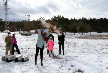 ESKİŞEHİR'DE TEDAVİ EDİLEN KUŞLAR DOĞAYA SALINDI