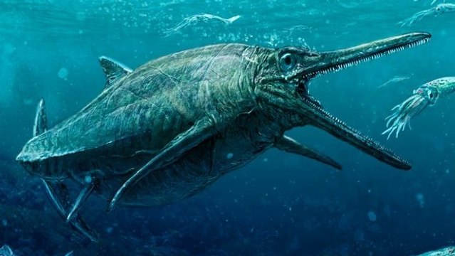 Le fossile du vrai monstre du Loch Ness découvert en Ecosse