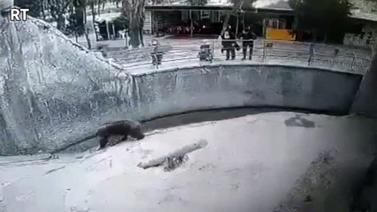 பெற்ற குழந்தையை கரடி குழியில் தூக்கி வீசிய தாய்.. காரணத்தை கேட்டா 'ஷாக்' ஆகிடுவீங்க.. பகீர் வீடியோ!