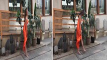 Shilpa Shetty का हुआ Oops Moment, Shamita की Birthday Party में  हवा से उड़ी Dress | FilmiBeat