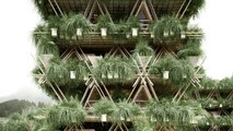 Une incroyable maison faite de bambou imaginée par des architectes chinois