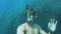 Quand un plongeur en apnée se filme au milieu d’un gigantesque banc de sardines