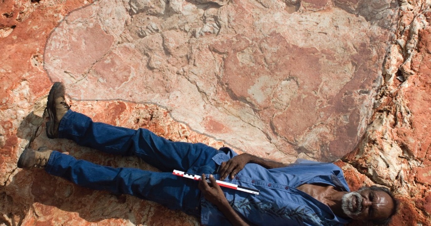 De gigantesques empreintes de dinosaures découvertes en Australie