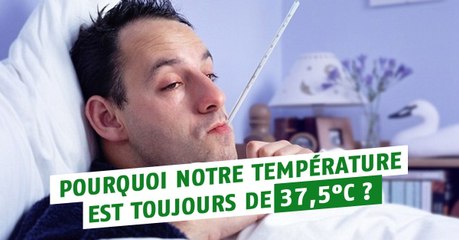 Pourquoi la température du corps est-elle toujours autour de 37,5°C ?
