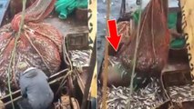 Ces pêcheurs russes ont eu une sacrée surprise en remontant leurs filets