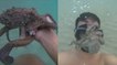 Quand un nageur tombe nez à nez avec une pieuvre un peu trop collante