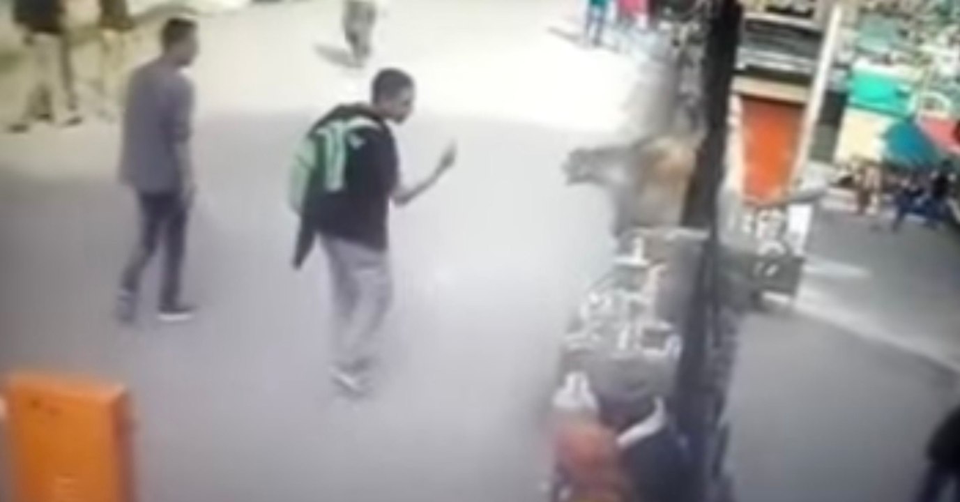 Eine Lektion, die sich gewaschen hat: Provoziere nie eine Affen!