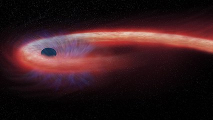 Un trou noir observé dévorant une étoile établit un nouveau record