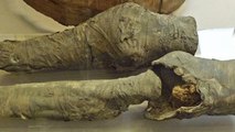 Ces restes momifiés vieux de 3000 ans appartiendraient à la reine égyptienne Néfertari