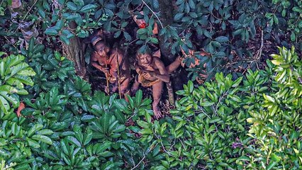 Un photographe capture d'incroyables images d'une tribu isolée en Amazonie