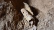 Une nouvelle grotte contenant des manuscrits de la mer Morte découverte près de Qumran