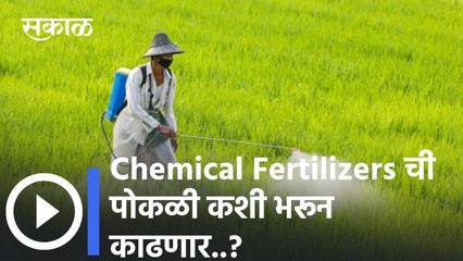 Budget 2022: नैसर्गिक आणि सेंद्रिय शेतीला प्राधान्य। Economic Survey