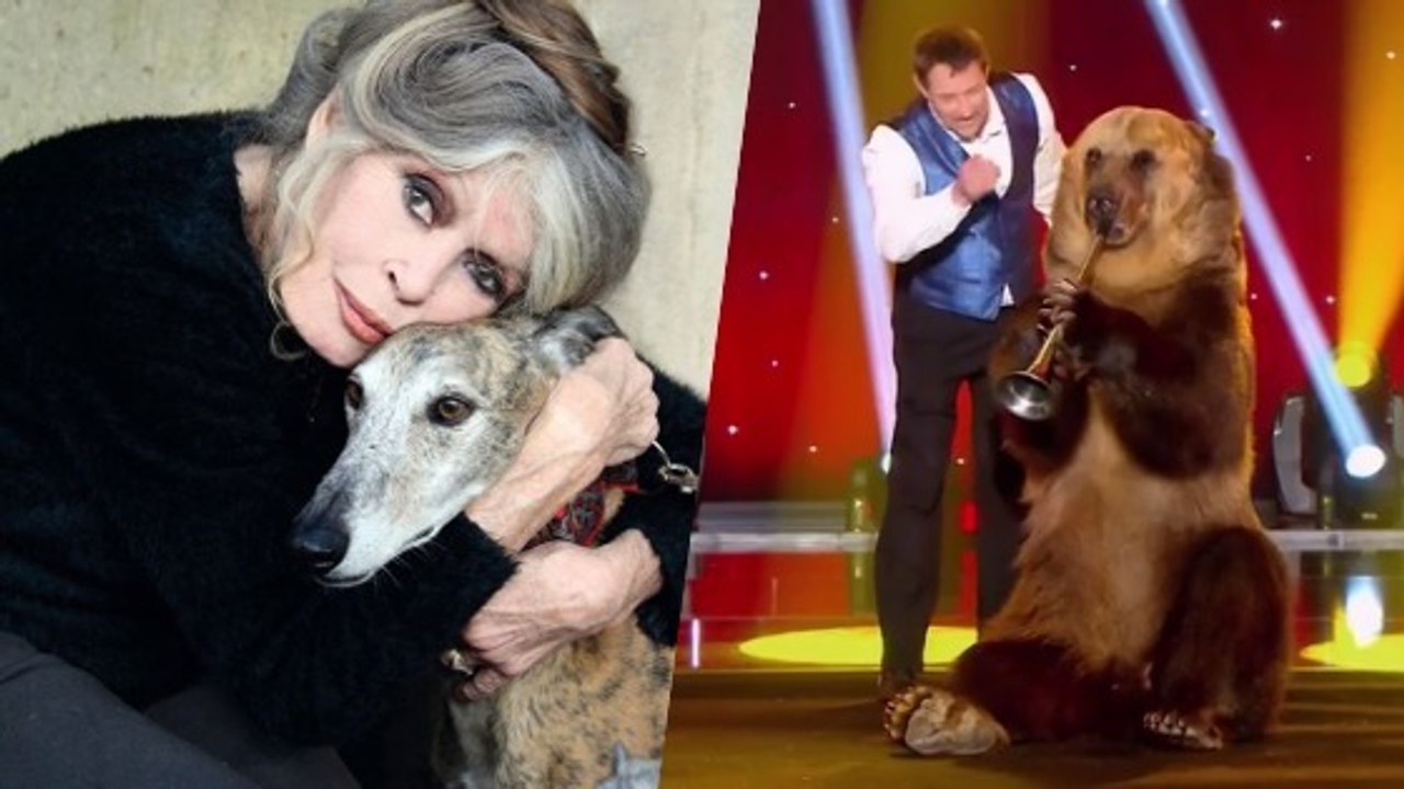 Brigitte Bardot s'attaque à l'émission de Patrick Sébastien après la diffusion d'un numéro d'ours