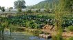 La ferme du Bec Hellouin, cette petite ferme qui inspire le monde grâce à la permaculture