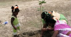 L'Inde vient de planter 66 millions d'arbres en 12 heures contre la déforestation