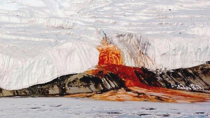 Le mystère des "cascades de sang" en Antarctique enfin élucidé