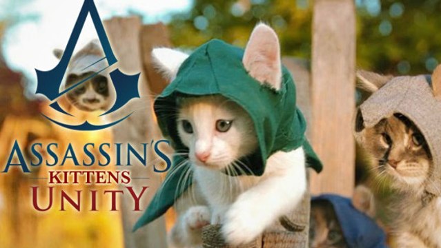 Assassin's Creed Unity : et si les assassins étaient des chatons ?