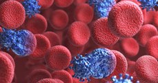 VIH : Des chercheurs réussissent à éliminer le virus du SIDA chez des souris grâce à CRISPR/Cas9