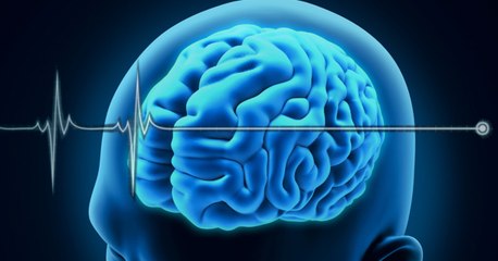 Bioquark, cette société américaine qui veut "ressusciter" des patients en état de mort cérébrale