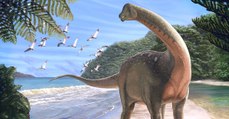 Mansourasaurus, ce gigantesque dinosaure découvert en Egypte qui révèle de précieuses informations