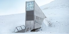 L'arche de la fin du monde : le patrimoine de l'humanité menacé par la fonte des glaces en Arctique