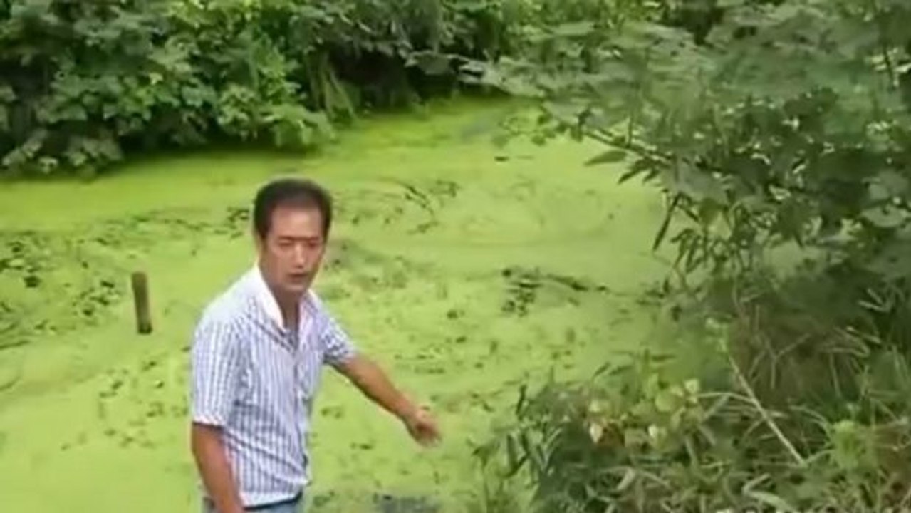 Ein junger Chinese macht an einem Fluss eine außergewöhnliche Entdeckung!