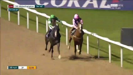 Tarihte bir ilk olabilir: Tüm dünya bu at yarışını konuşuyor!