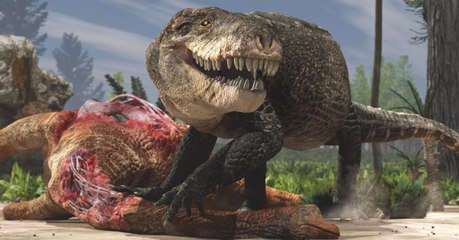 Razana, ce crocodile préhistorique aux dents de T-rex qui terrifiait Madagascar