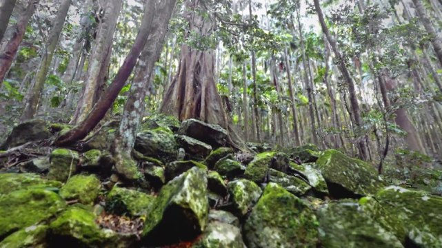 Voici à quoi pourraient ressembler les jeux vidéo de demain