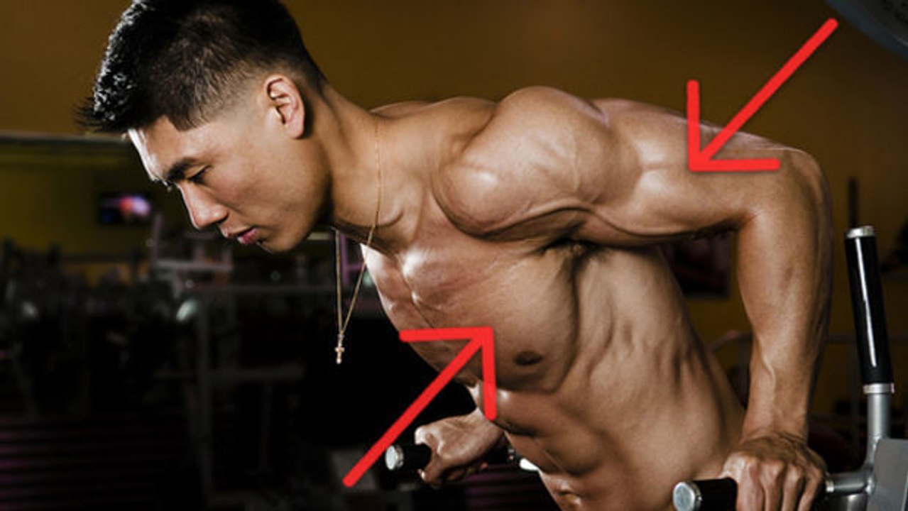 Wie könnt ihr euch bei Dips auf den Teil des Körpers konzentrieren, der euch am meisten interessiert?