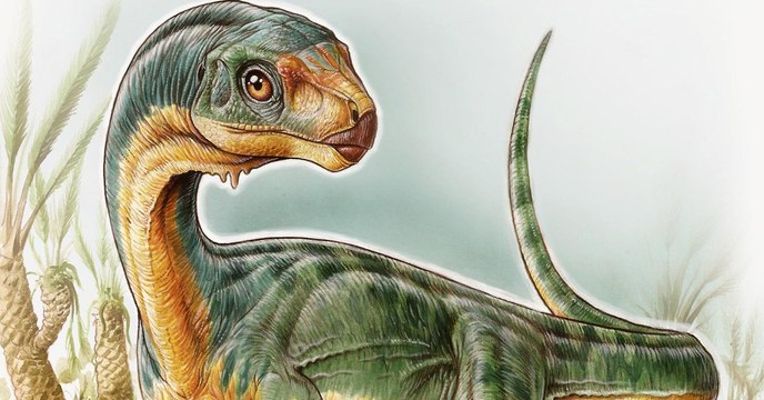 Le Chilesaurus, l'un des dinosaures les plus intrigants jamais découverts , révèle ses secrets