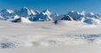 Les restes fossilisés d'une forêt vieille de 260 millions d'années découverts en Antarctique