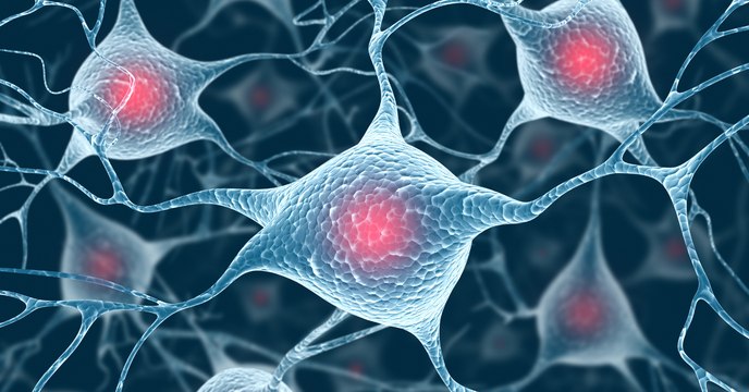 Des scientifiques font une nouvelle découverte sur l'origine de la maladie d'Alzheimer