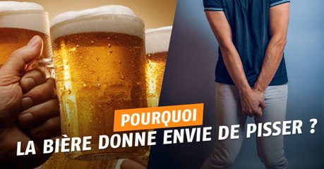 Pourquoi la bière donne-t-elle envie de faire pipi ?