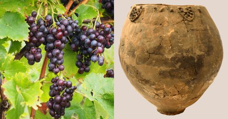 Des poteries vieilles de 8000 ans révèlent des traces de vin en Géorgie