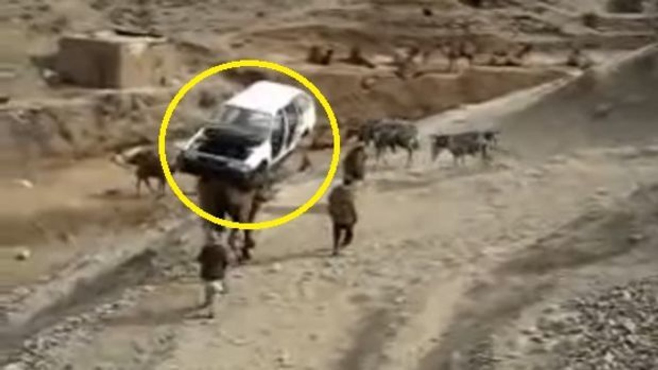Pakistan: Sie transportieren ein Auto... auf einem Kamel