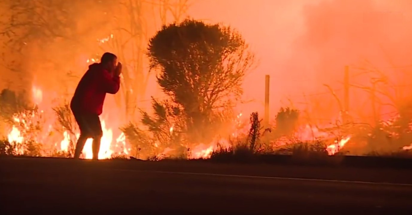 Incendies en Californie : quand un homme risque sa vie pour sauver un lapin des flammes